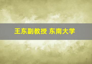 王东副教授 东南大学